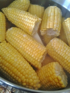 The corns are ready to be boiled for about 50 mins to get them soft enough to eat.
